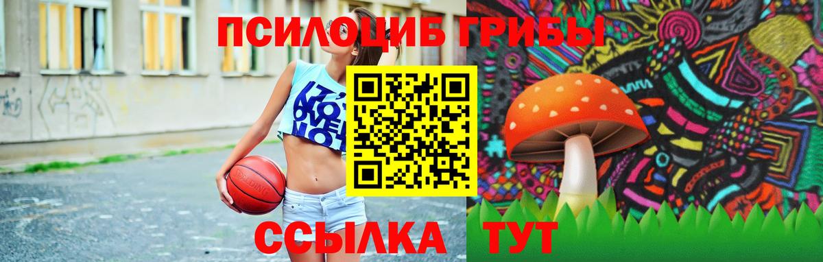 Псилоцибиновые грибы мухоморы Алейск